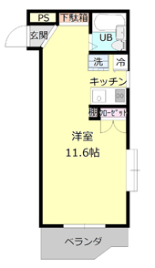 ^Cv4