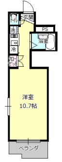 Type1
